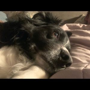 Meet your Posher, Catheryn